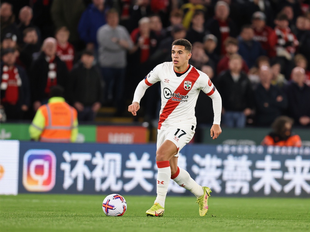 好口碑的平 好口碑的平